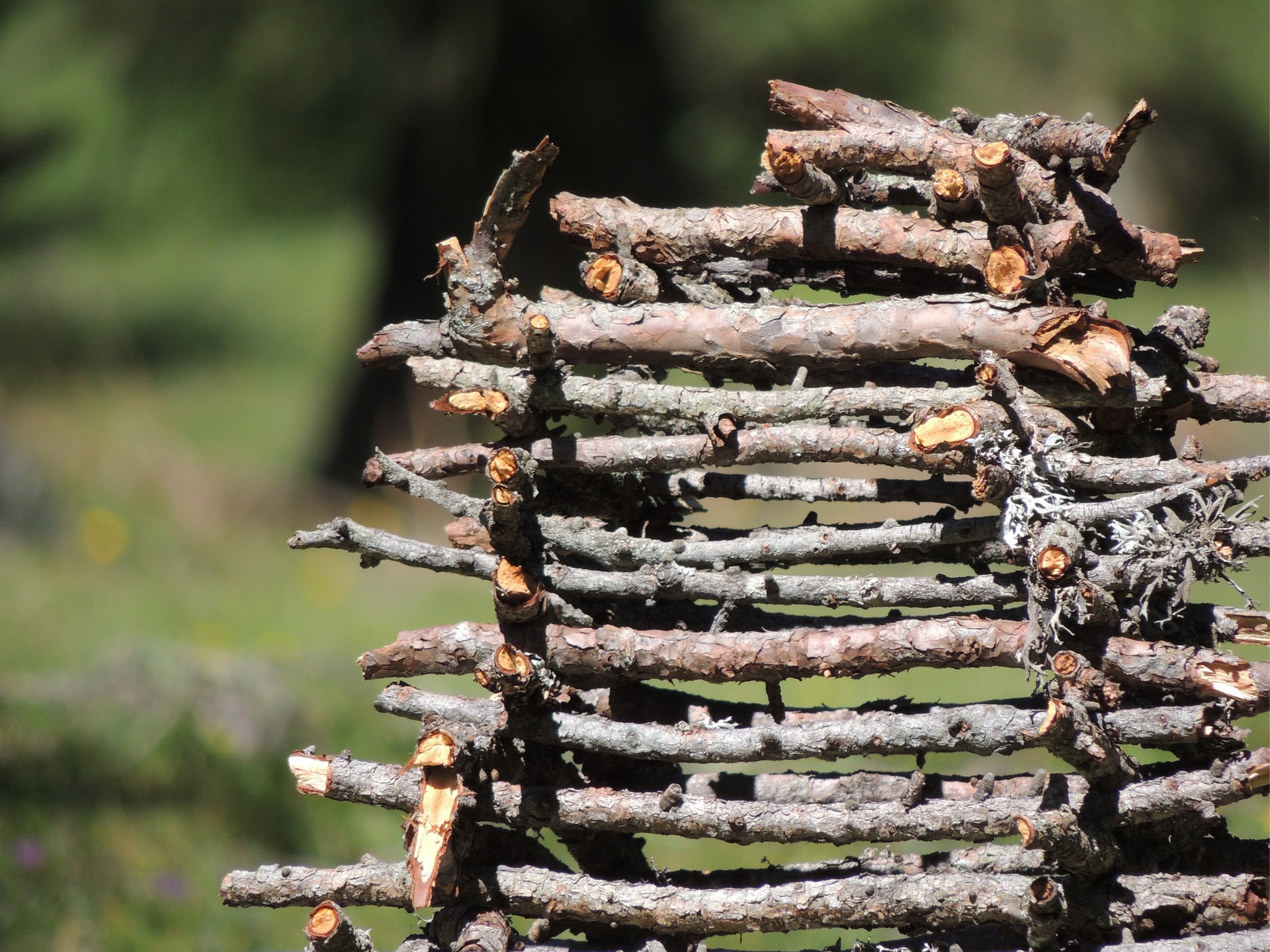 Feuerholz mit der Klappsäge sägen