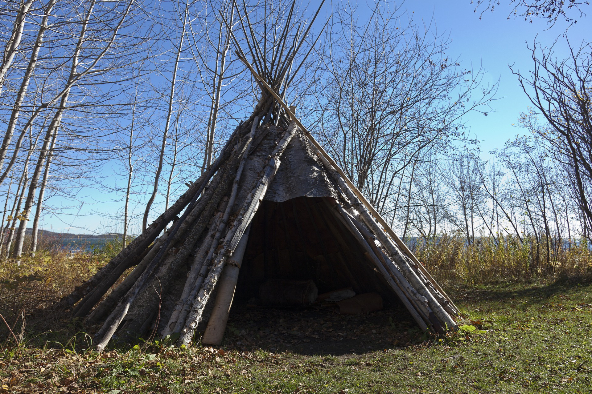 Bushcrafting – Birkenrinde für improvisierte Behausungen