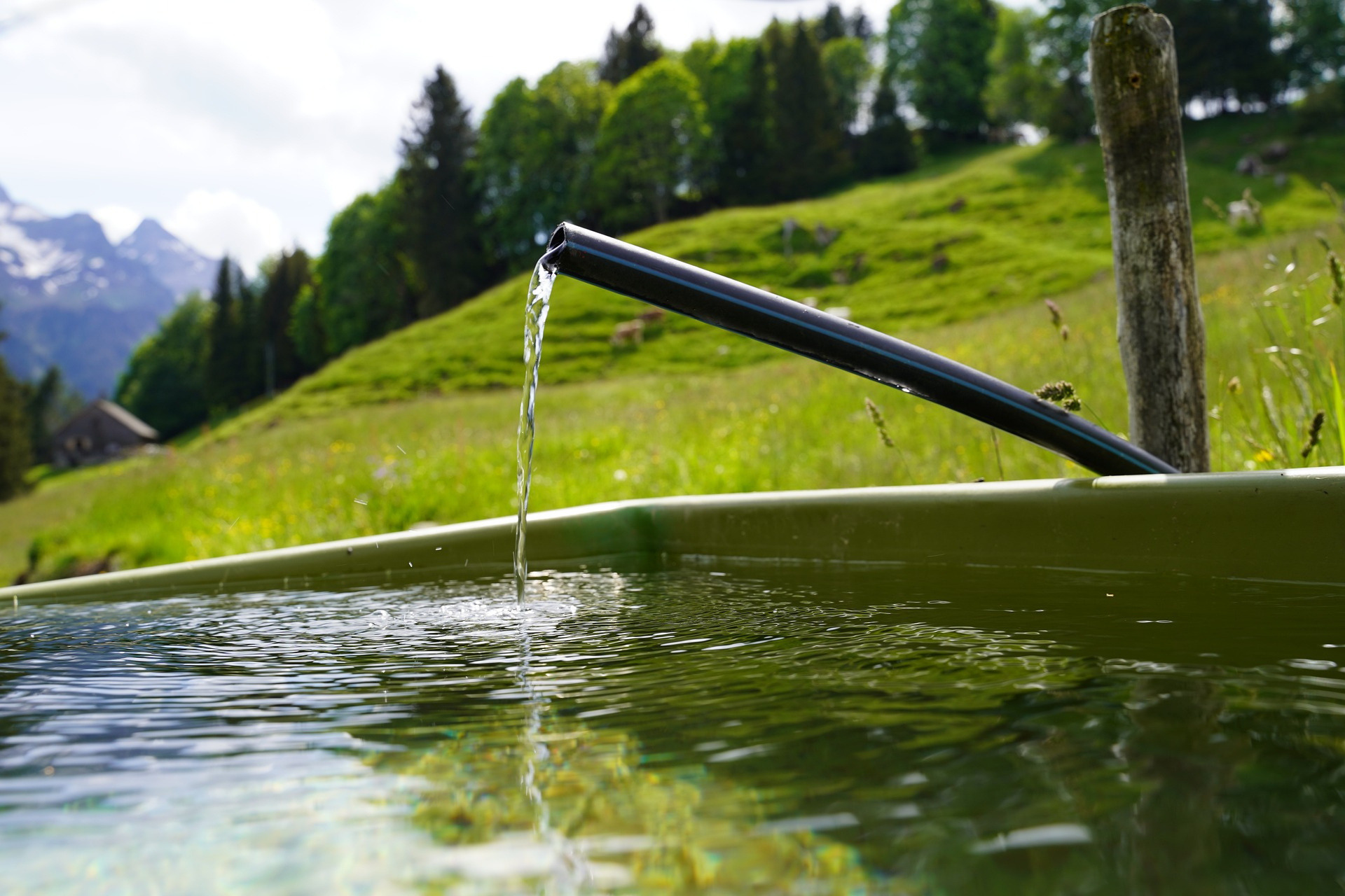 GRAYL GeoPress im Einsatz