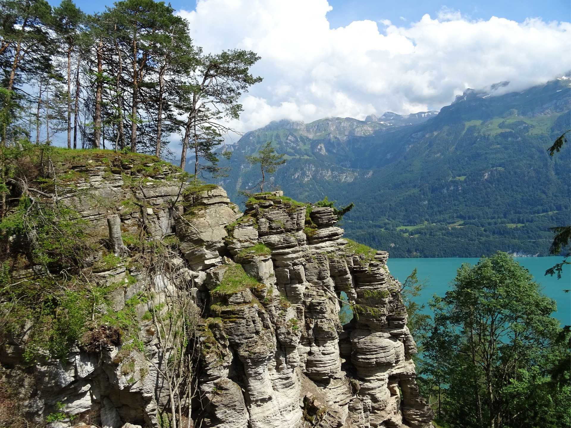 Tourniquet – Verletzungsrisiken in der Natur