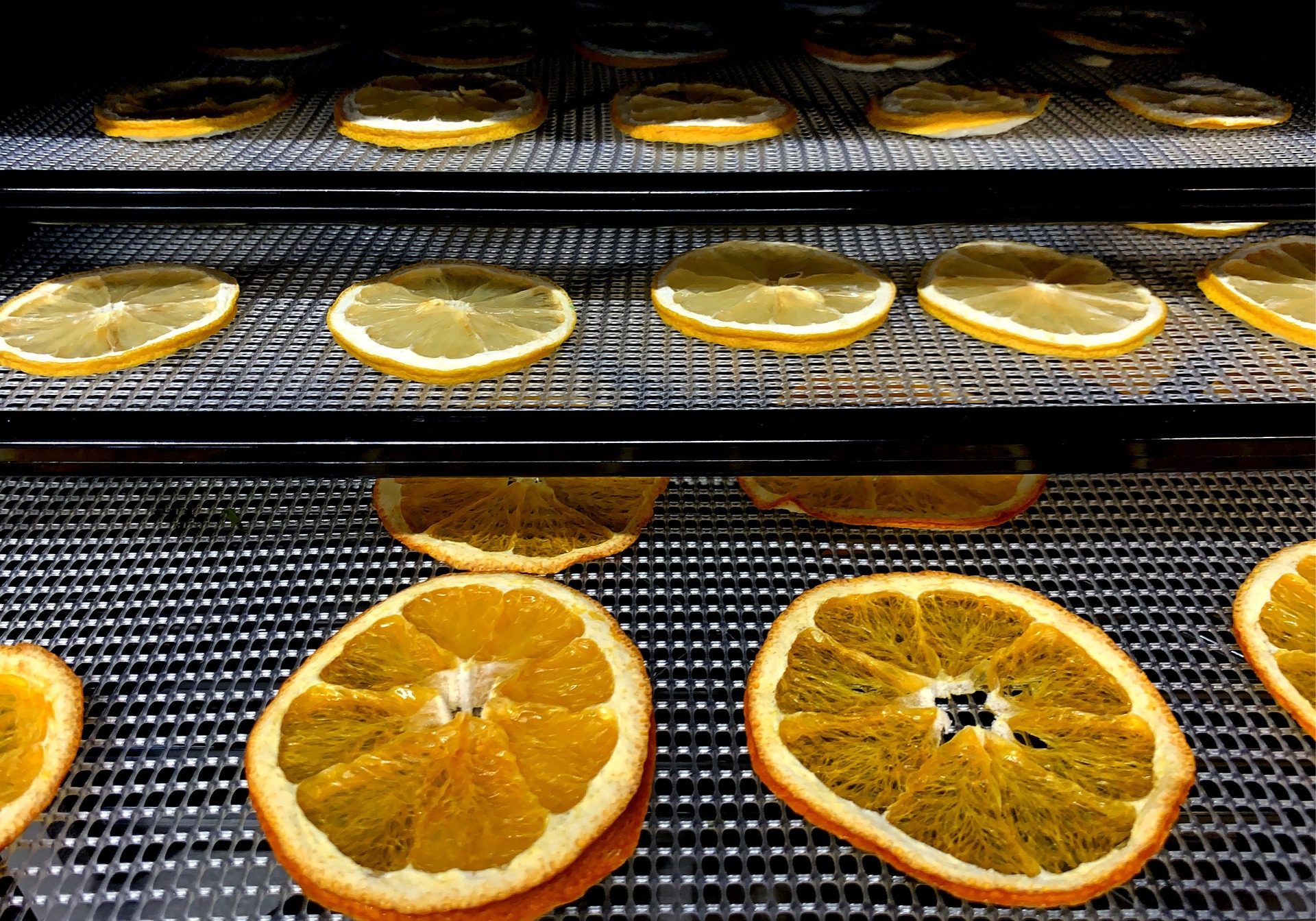 Wartmann Dörrautomat – getrocknete Orangenscheiben